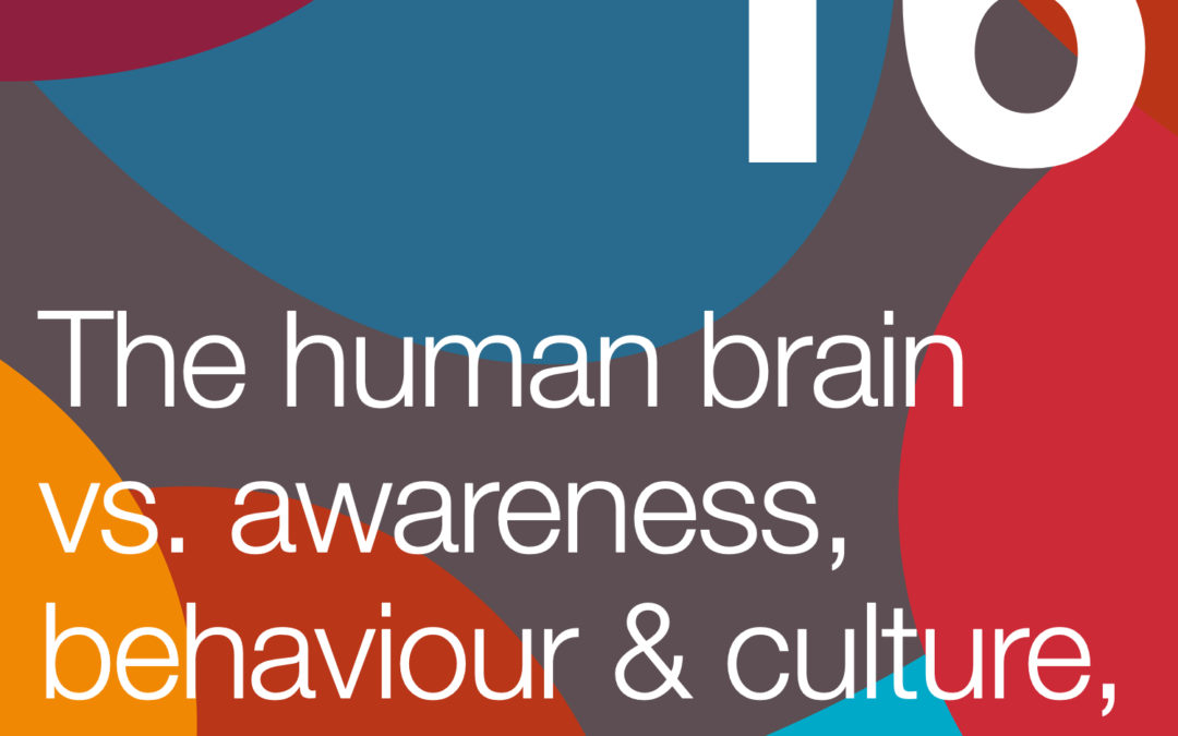 The Human Brain vs. Awareness, Behaviour and Culture