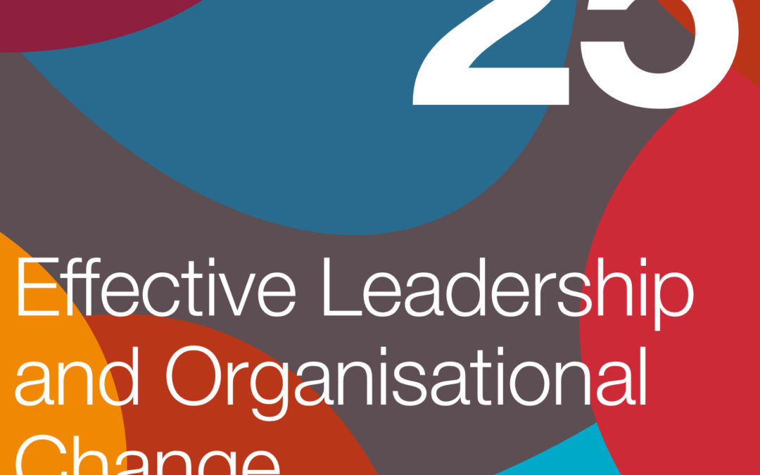 Effective Leadership and Organisational Change, interview with John P. Kotter